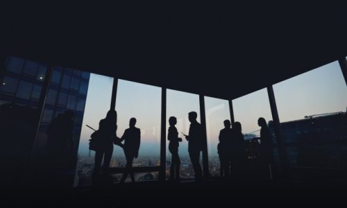 w-corp-video-img-opt