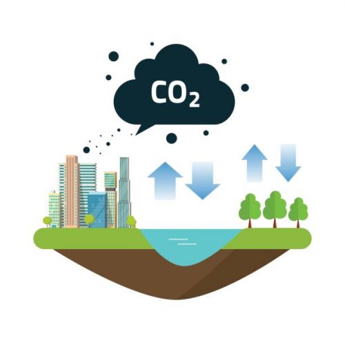 CO2 natural emissions carbon balance cycle between ocean source, city or town productions and forest. Concept of environmental problem, dioxide pollution issue, climate change vector illustration